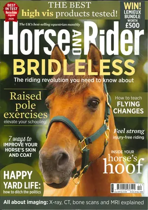 Horses