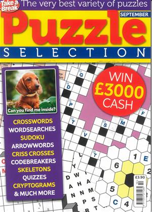 Take a Break Puzzle Selection - NO 10