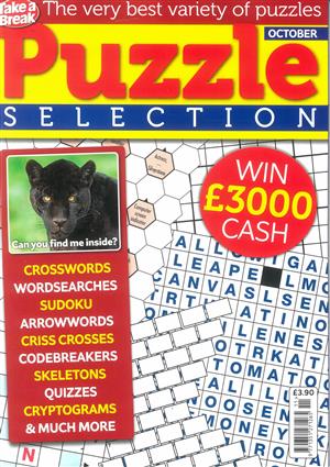 Take a Break Puzzle Selection - NO 11