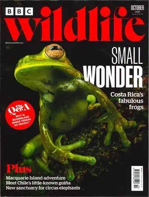 BBC Wildlife