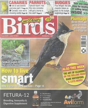 Cage and Aviary Birds - 12/06/2024