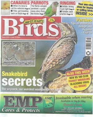 Cage and Aviary Birds - 19/06/2024