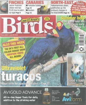 Cage and Aviary Birds - 26/06/2024