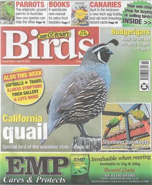 Cage and Aviary Birds - 09/04/2025