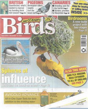 Cage and Aviary Birds