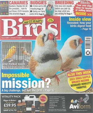 Cage and Aviary Birds - 17/01/2024