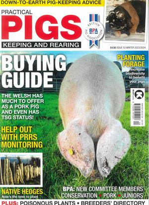 Practical Pigs - WINTER