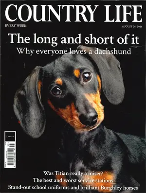 Country Life - 26/08/2026 Magazine