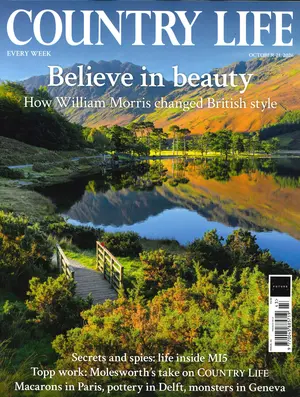 Country Life Magazine