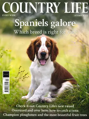 Country Life Magazine