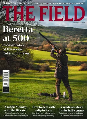 The Field - NOV 26 Magazine