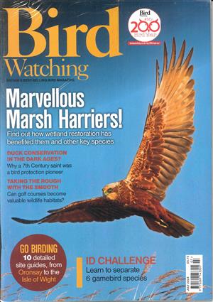 Bird Watching - JUL 24