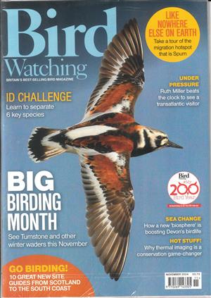 Bird Watching, issue NOV 24