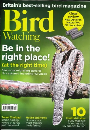 Birdwatching