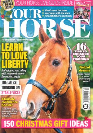 Your Horse - DEC 24