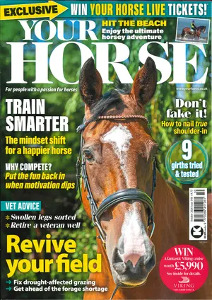 Horses