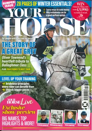 Your Horse