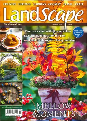 Landscape - NOV 26 Magazine