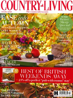 Country Living - OCT 26 Magazine