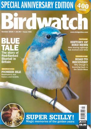 Birdwatch - OCT 25