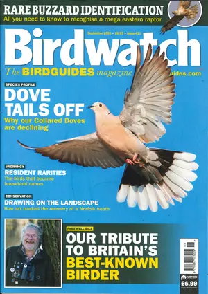 Birdwatch Magazine