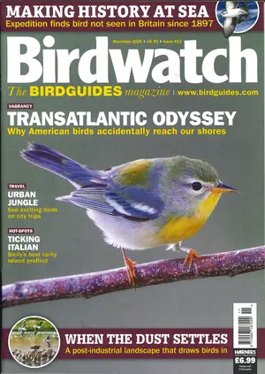 Birdwatch Magazine