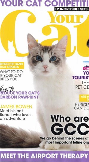 Your Cat magazine