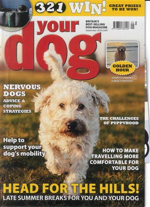 Your Dog - SEP 24