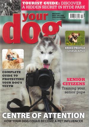 Your Dog, issue MAR 25