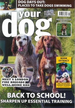 Your Dog - SEP 25