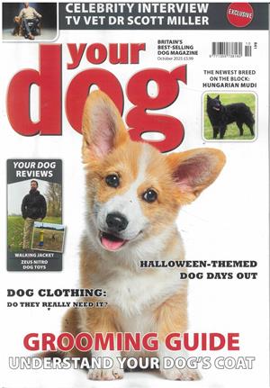 Your Dog - OCT 25