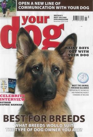 Your Dog - NOV 25