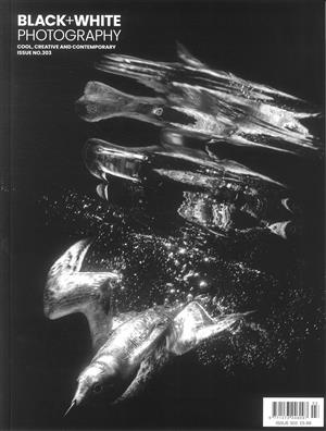 Black & White Photography - NO 303