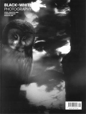 Black & White Photography - NO 286