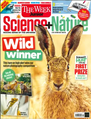 The Week Junior Science & Nature Magazine