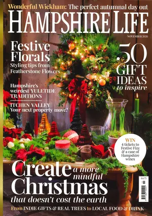 Hampshire Life - NOV 26 Magazine