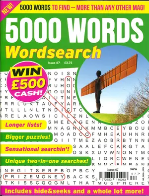 5000 Words Wordsearch