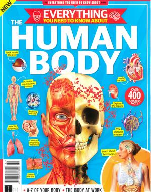 Everything You Need To Know - NO 32