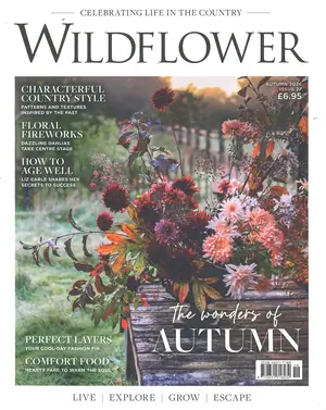 Wildflower - AUTUMN Magazine