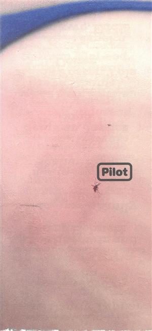 Pilot  - 05