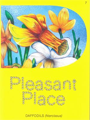 Pleasant Place Magazine