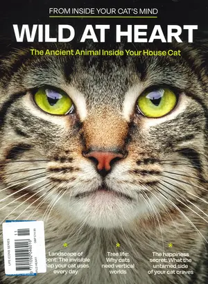 From In Side Your Cats Mind
