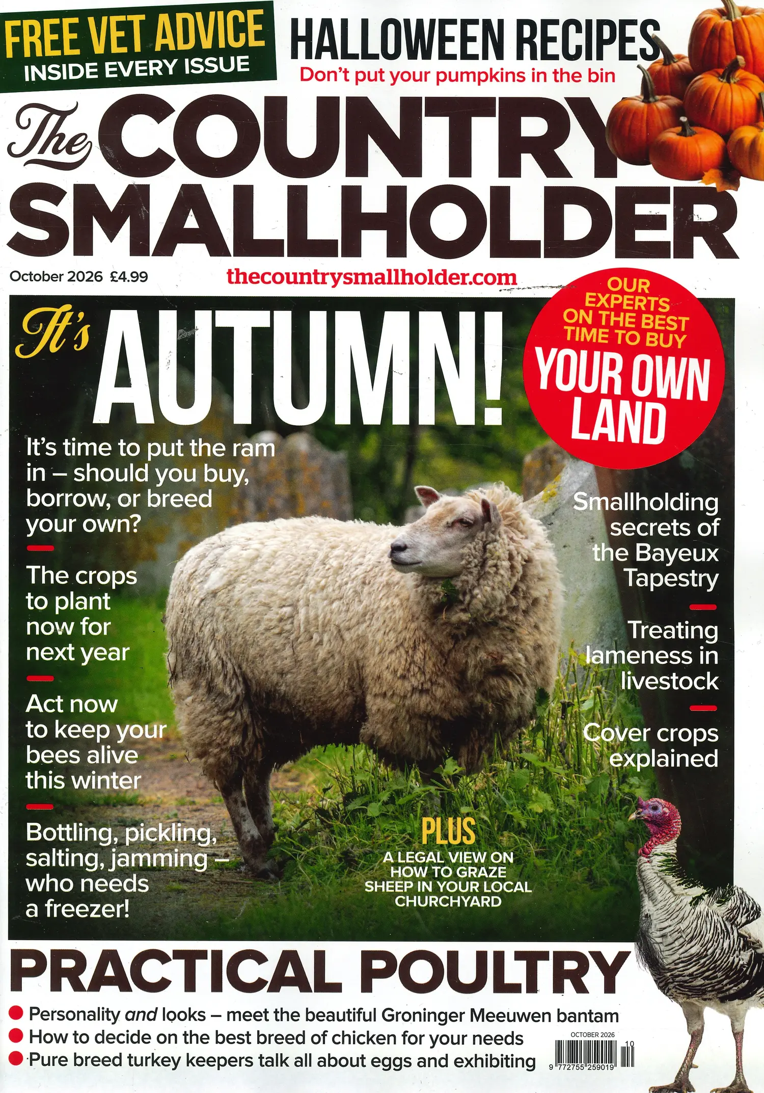The Country Smallholder - OCT 26