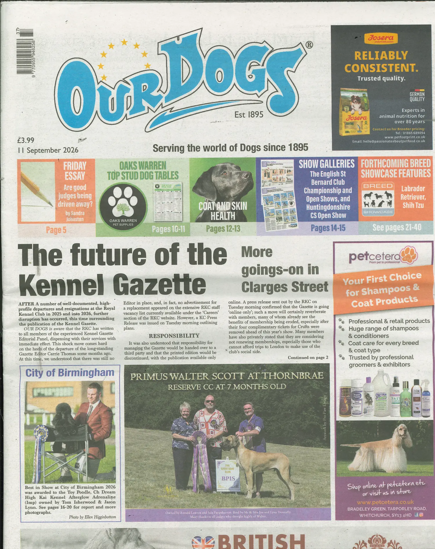 Our Dogs - 11/09/2026
