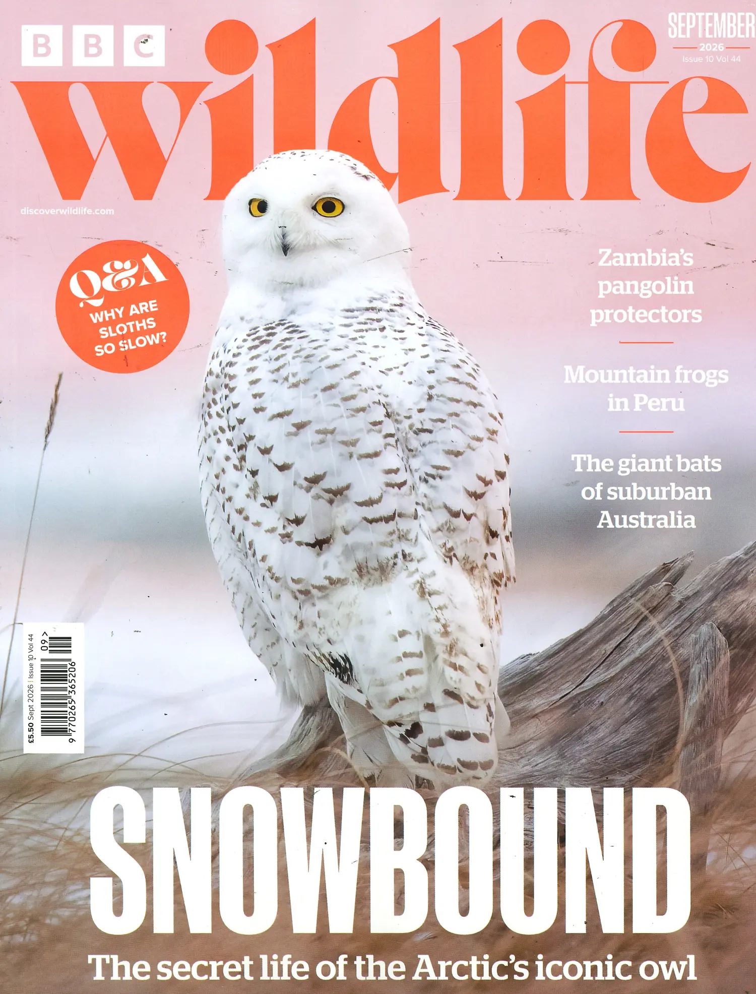 BBC Wildlife - SEP 26