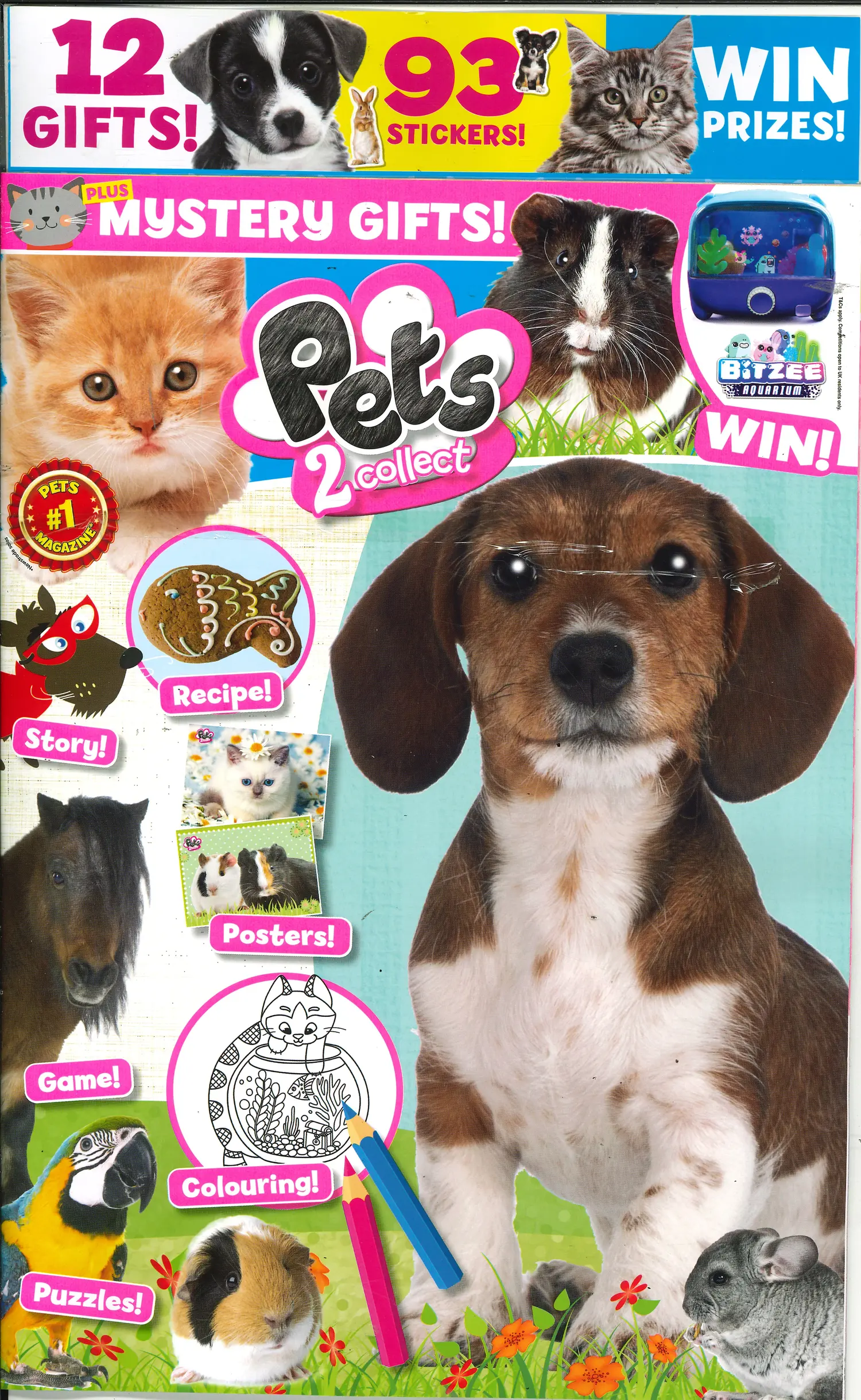 Pets 2 Collect - NO 164