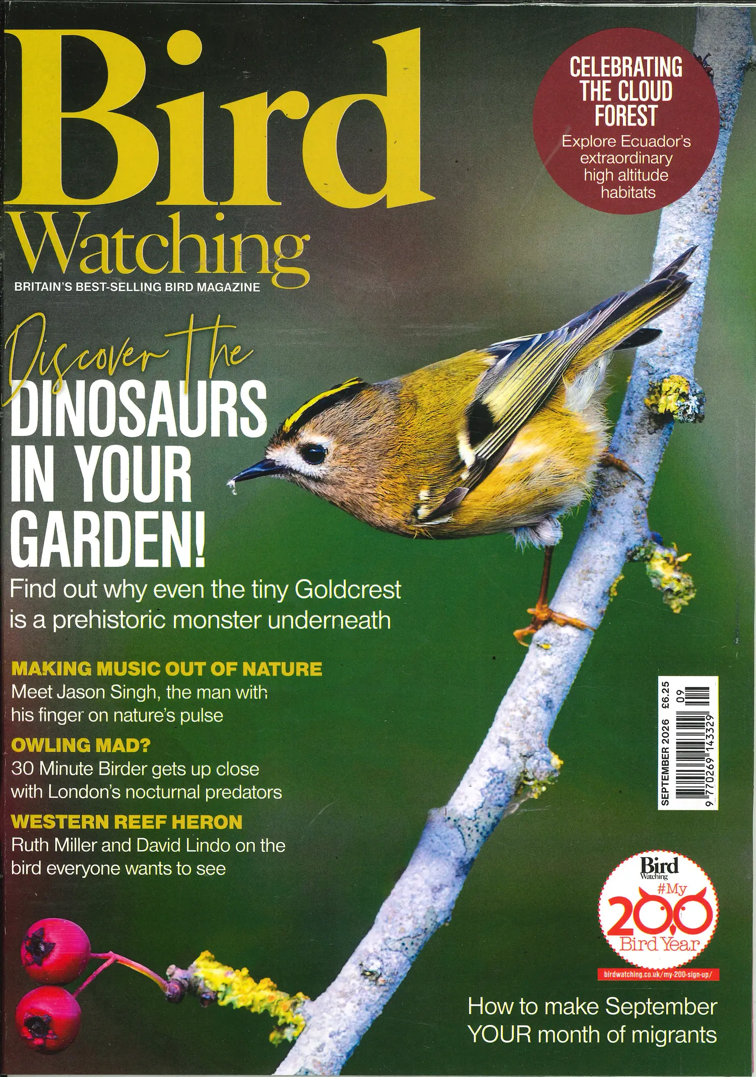 Bird Watching - SEP 26
