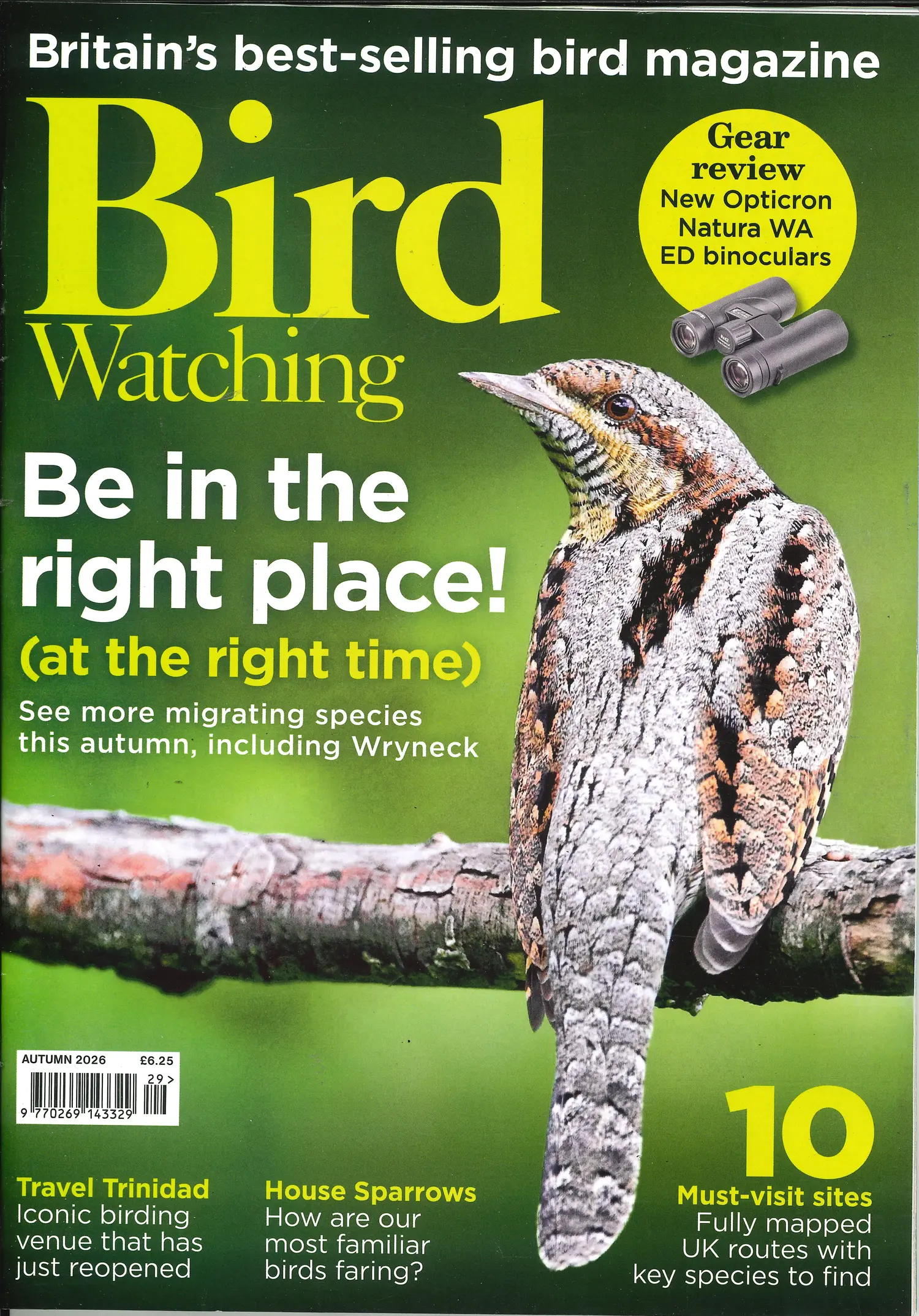 Bird Watching - AUTUMN
