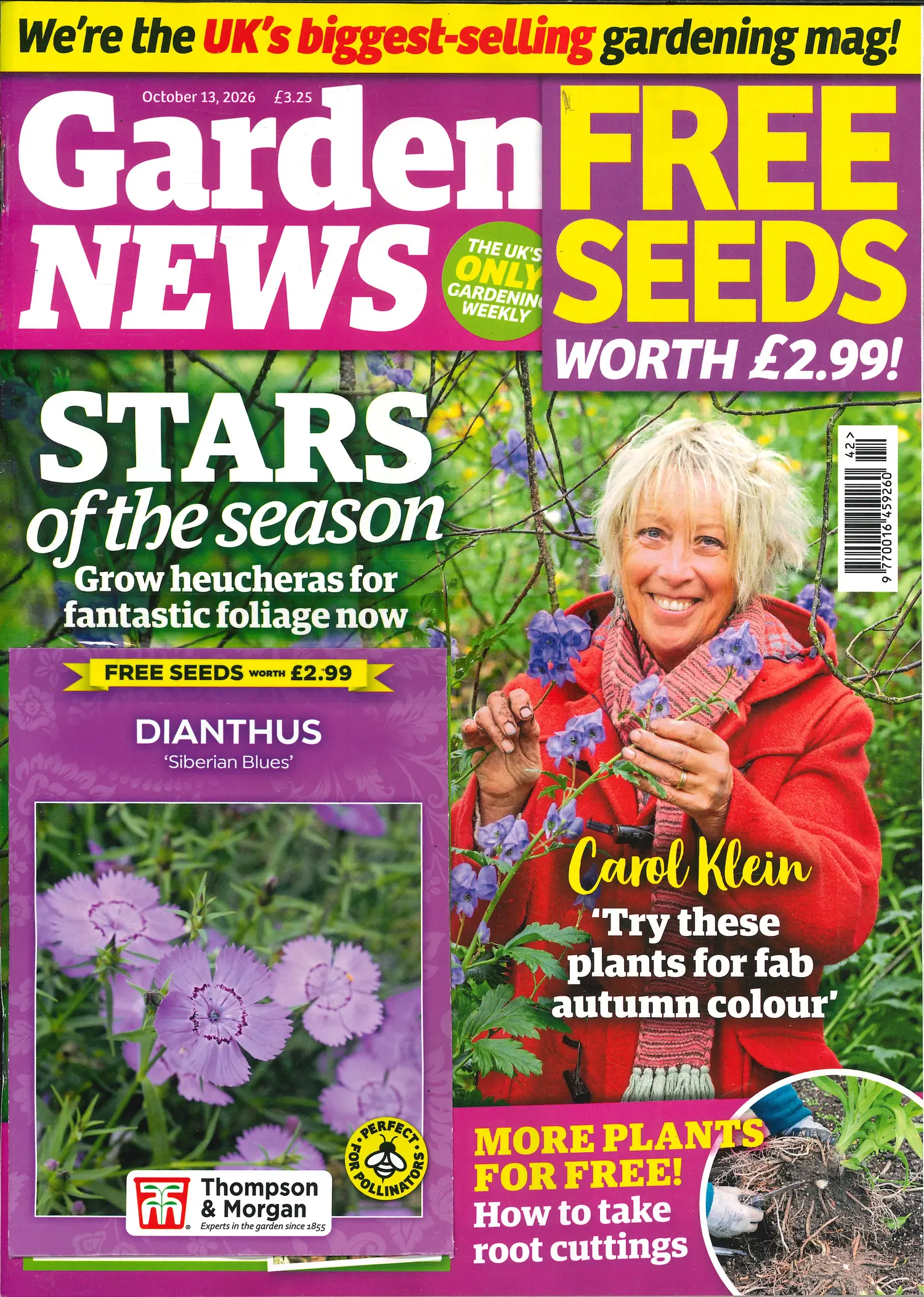 Garden News - 13/10/2026