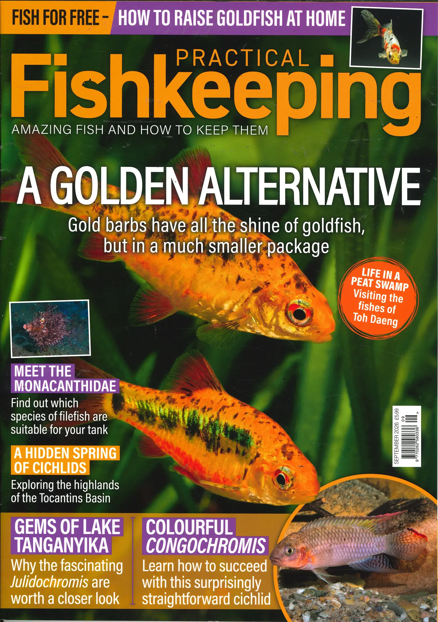 Practical Fishkeeping - SEP 26